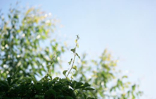 guanyu光盘行动标语