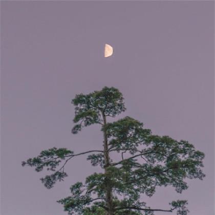 雷锋格言