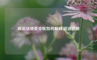 说说话就亚中医如何解释,说话说明