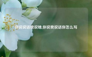 你说说话我说啥,你说我说话你怎么写