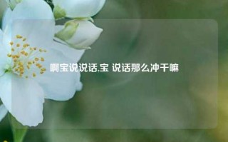 啊宝说说话,宝 说话那么冲干嘛