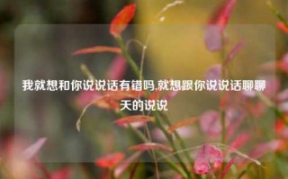 我就想和你说说话有错吗,就想跟你说说话聊聊天的说说