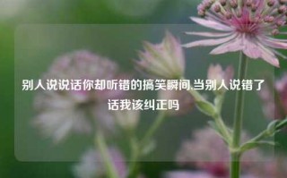 别人说说话你却听错的搞笑瞬间,当别人说错了话我该纠正吗