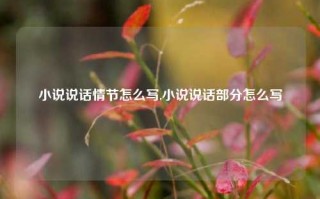 小说说话情节怎么写,小说说话部分怎么写