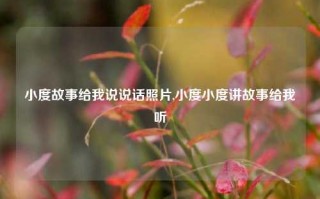 小度故事给我说说话照片,小度小度讲故事给我听