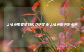 大爷被警察抓到说说话呢,老大爷被抓进派出所