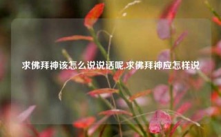 求佛拜神该怎么说说话呢,求佛拜神应怎样说