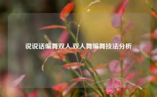 说说话编舞双人,双人舞编舞技法分析