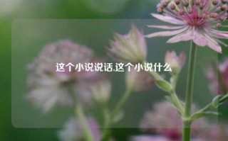 这个小说说话,这个小说什么