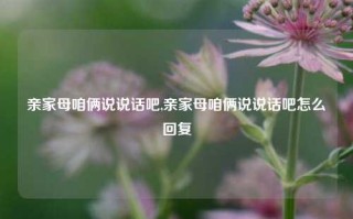 亲家母咱俩说说话吧,亲家母咱俩说说话吧怎么回复