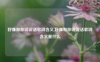 好像和你说说话歌词含义,好像和你说说话歌词含义是什么