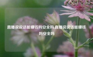 直播说说话能赚钱吗安全吗,直播说说话能赚钱吗安全吗