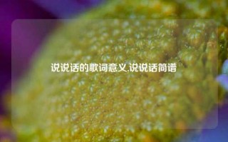 说说话的歌词意义,说说话简谱