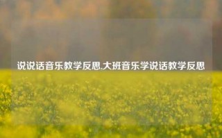 说说话音乐教学反思,大班音乐学说话教学反思