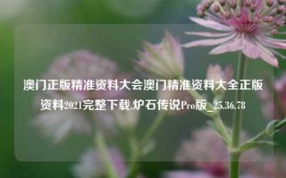 澳门正版精准资料大会澳门精准资料大全正版资料2021完整下载,炉石传说Pro版_25.36.78