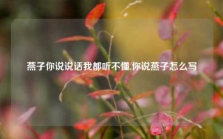 燕子你说说话我都听不懂,你说燕子怎么写