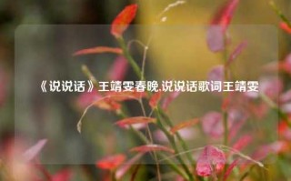 《说说话》王靖雯春晚,说说话歌词王靖雯