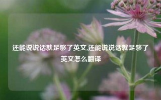 还能说说话就足够了英文,还能说说话就足够了英文怎么翻译