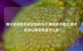 偶尔还有机会说说话的句子,偶尔还会难过,偶尔还会让眼泪流是什么歌