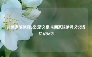 常回家陪爹妈说说话文案,常回家陪爹妈说说话文案短句