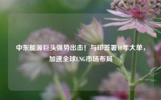 中东能源巨头强势出击！与印签署10年大单，加速全球LNG市场布局