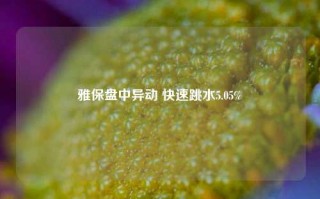 雅保盘中异动 快速跳水5.05%