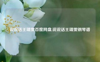 说说话王靖雯百度网盘,说说话王靖雯钢琴谱