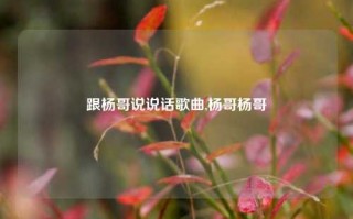 跟杨哥说说话歌曲,杨哥杨哥