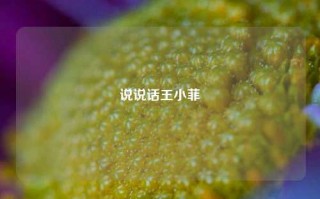 说说话王小菲