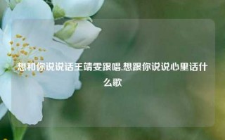 想和你说说话王靖雯跟唱,想跟你说说心里话什么歌