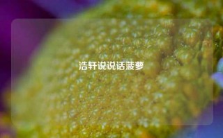 浩轩说说话菠萝