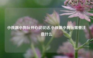 小孩跟小狗玩开心说说话,小孩跟小狗玩需要注意什么