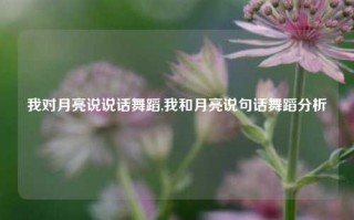 我对月亮说说话舞蹈,我和月亮说句话舞蹈分析