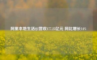 阿里本地生活Q2营收177.25亿元 同比增长14%