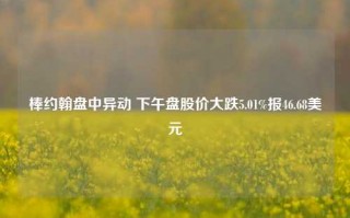 棒约翰盘中异动 下午盘股价大跌5.01%报46.68美元