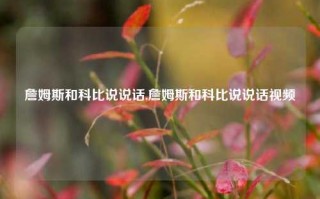 詹姆斯和科比说说话,詹姆斯和科比说说话视频