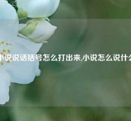 小说说话括号怎么打出来,小说怎么说什么