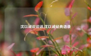 沈以诚说说话,沈以诚经典语录