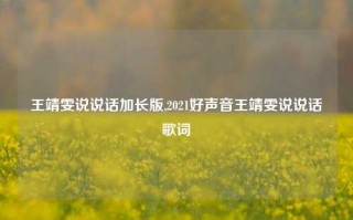 王靖雯说说话加长版,2021好声音王靖雯说说话歌词