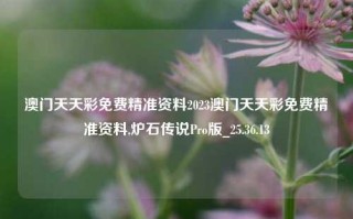 澳门天天彩免费精准资料2023澳门天天彩免费精准资料,炉石传说Pro版_25.36.13