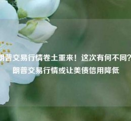 特朗普交易行情卷土重来！这次有何不同？特朗普交易行情或让美债信用降低