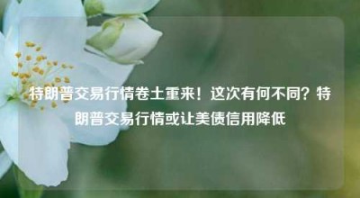 特朗普交易行情卷土重来！这次有何不同？特朗普交易行情或让美债信用降低