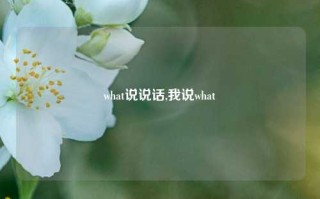 what说说话,我说what