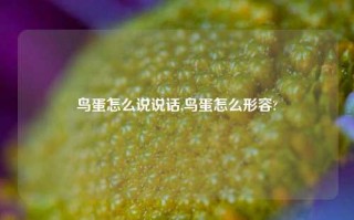 鸟蛋怎么说说话,鸟蛋怎么形容?