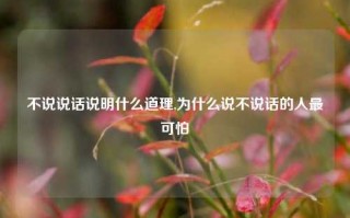 不说说话说明什么道理,为什么说不说话的人最可怕