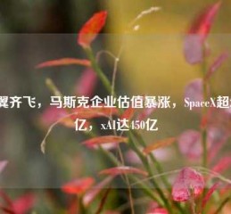 双翼齐飞，马斯克企业估值暴涨，SpaceX超2500亿，xAI达450亿