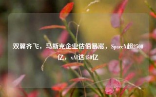 双翼齐飞，马斯克企业估值暴涨，SpaceX超2500亿，xAI达450亿