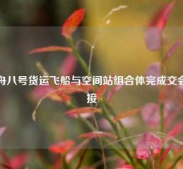 天舟八号货运飞船与空间站组合体完成交会对接