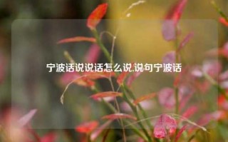 宁波话说说话怎么说,说句宁波话