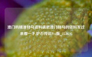 澳门码精准特马资料请把澳门特马的资料发过来看一下,炉石传说Pro版_25.36.95